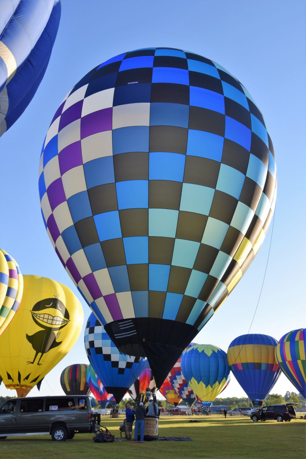 Balloons Gulf Coast Hot Air Balloon Festival • Foley, AL