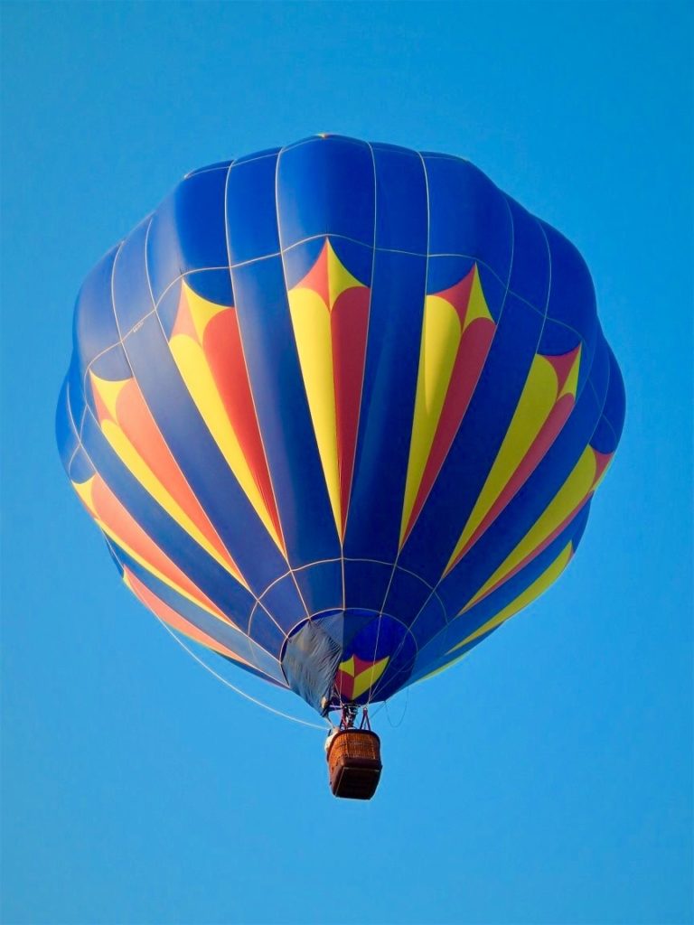 Balloons - Gulf Coast Hot Air Balloon Festival • Foley, AL