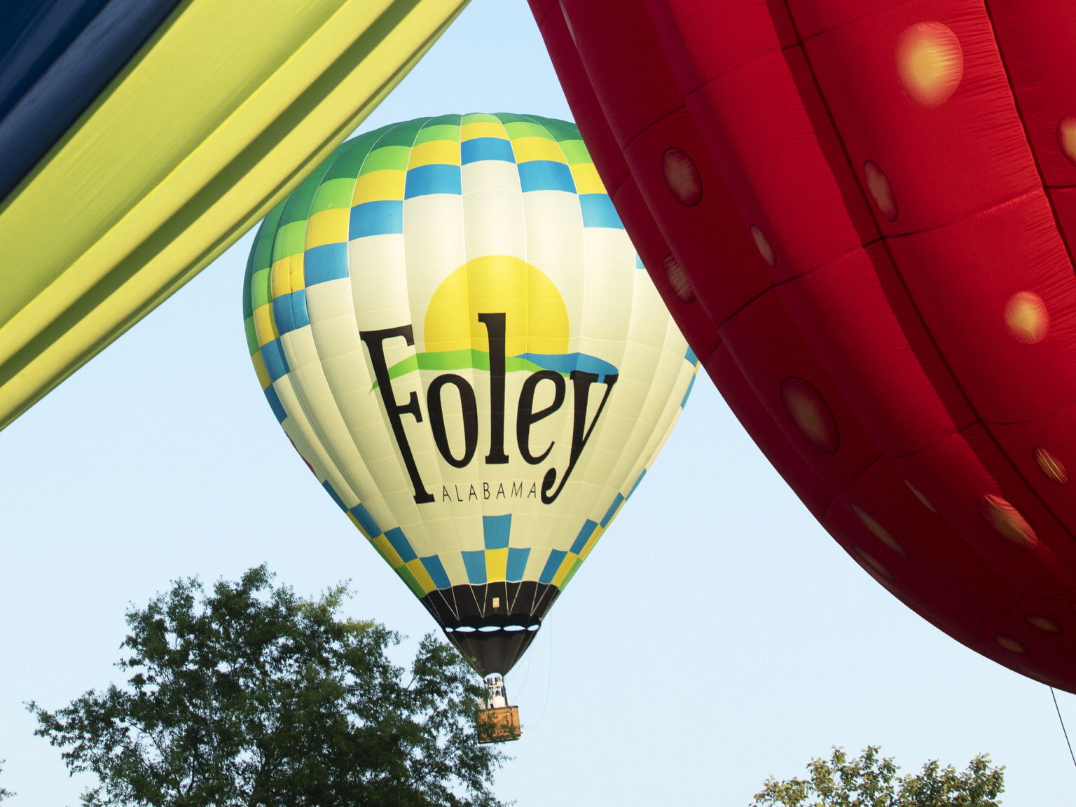 Gulf Coast Hot Air Balloon Festival • Foley, Alabama